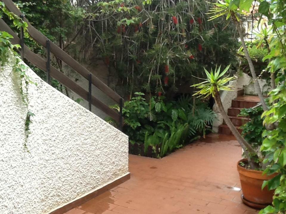 Chuva De Prata Apartment Canico  Exterior photo